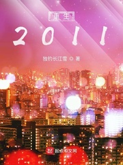 重生2011小说封面