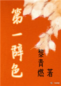 第一辞色小说封面