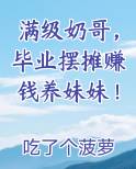满级奶哥，毕业摆摊赚钱养妹妹！推荐小说