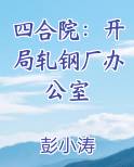 四合院：开局轧钢厂办公室小说影视剧