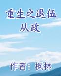 重生之退伍从政
