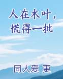 人在木叶，慌得一批