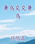 黄鸟bt