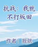 抗战：我就不打坂田TXT小说