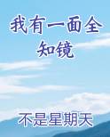 我有一面全知镜小说影视剧