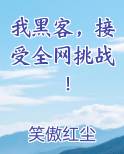 我黑客，接受全网挑战！小说排行榜