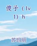 傻子（1v1）h